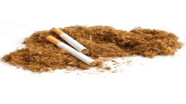 Bahaya Rokok