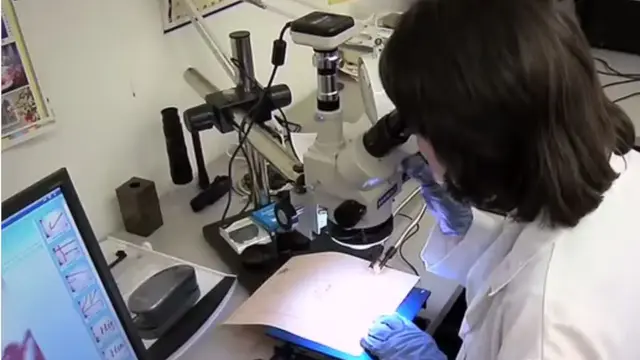 Forensic Document Examination