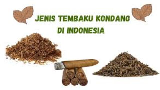 Jenis-Jenis Tembakau